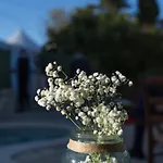 Ladonja Casa vacanze Manjadvorci