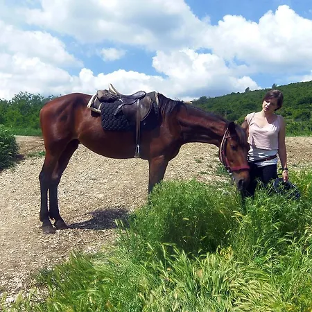Ladonja Сasa de vacaciones Manjadvorci