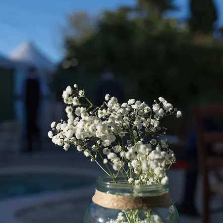 Ladonja Ferienhaus Manjadvorci